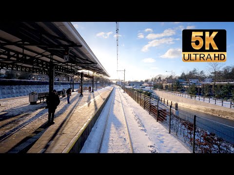 [5K] Snow Cab Ride & pelted with snowballs!  Baarn - Utrecht CABVIEW HOLLAND SLT 9feb 2021