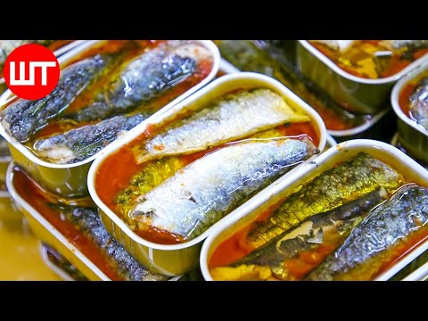 How Sardines are made | How Sardines are Caught & Processed