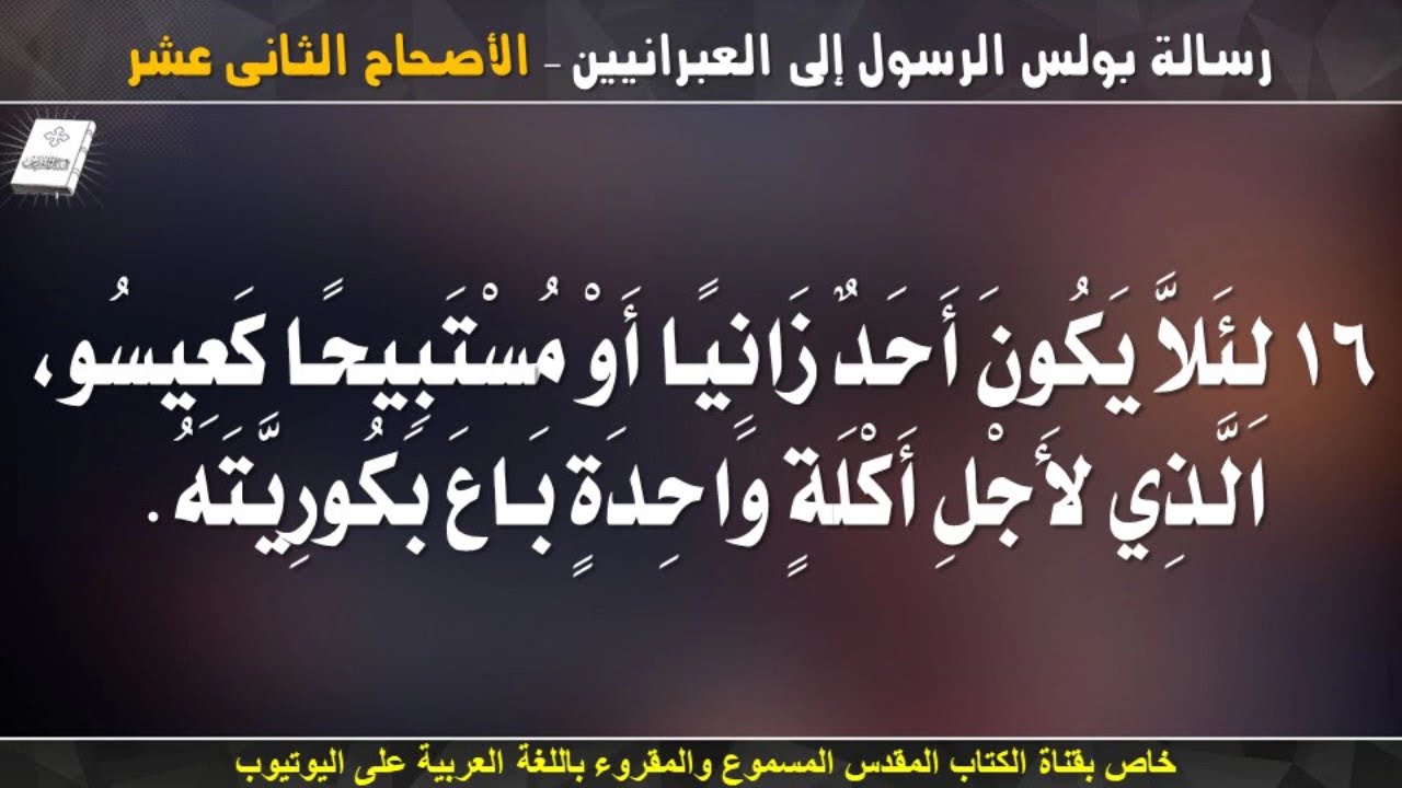 فيديو تفسير الكتاب المقدس | الكتاب المقدس رفيقي