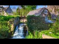 Peaceful Music, Relaxing Music, Instrumental Music "Cottage Rose" by Tim Janis