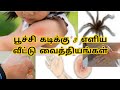 Poochi Kadi Marunthu Tamil Poochikadi Poochi Kadi Arippu Marundhu Vandukadi Arippu Marunthu