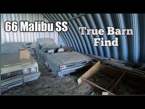 Barn find Chevelle