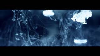 Ex paradis Music Video