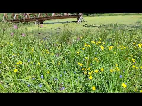 Żydowskie - Krempna