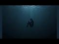 Vibfy - I Feel Lost