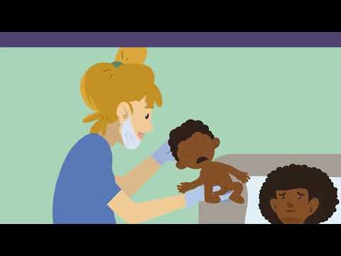 Female reproductive organs (basic knowledge) simply explained | sofatutor