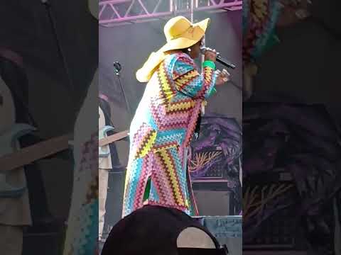 Sandra Sá no Parque Villa-Lobos, em São Paulo