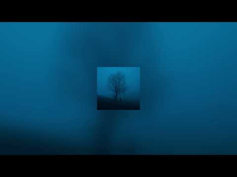 antent, vowl, - drowning (edit) (slowed + reverb)