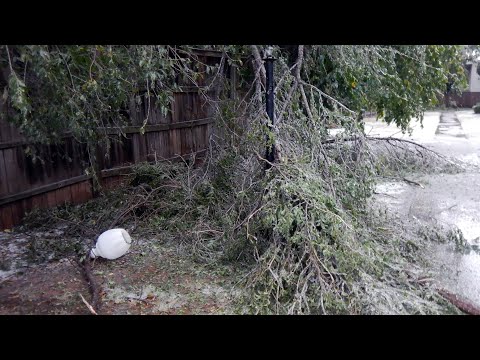 Damaging Ice Storm in Norman, OK (October 2020)
