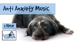 Anti-Anxiety Music for Dogs and Puppies, Music to Soothe Dogs Suffering with Anxiety or Stress