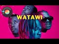 Ckay ft Davido x  Focalistic x Abidoza - Watawi [Audio Slide]