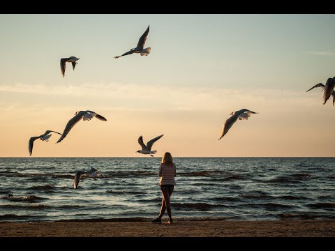 Cartoon | Nublu | Gameboy Tetris  | NCS Songs | Copyright Free Music | NCS Release | Music