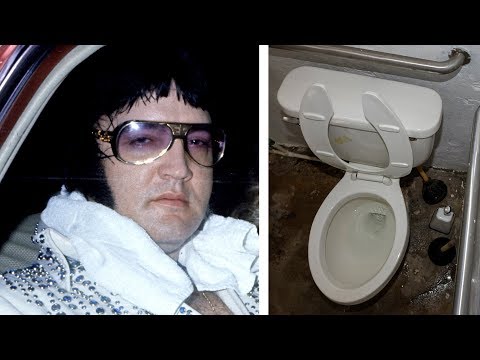 download lagu mp3 mp4 Elvis Death Sandwich, download lagu Elvis Death Sandwich gratis, unduh video klip Elvis Death Sandwich