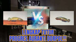 Download lagu FULL TUTORIAL PROGRES CHANNA AURANTI DORPOLL‼️ mp3 Download lagu FULL TUTORIAL PROGRES CHANNA AURANTI DORPOLL‼️ mp3