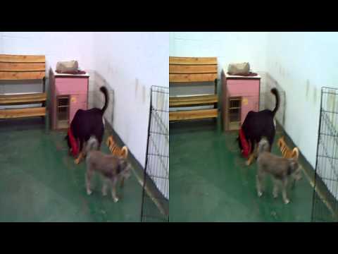 Jake (3) in 3D video