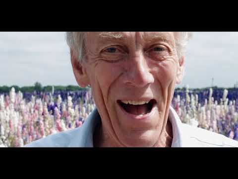 Wick Confetti Fields - A Story of Emotion and Passion for People and Confetti