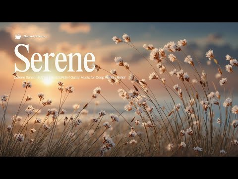 Serene Sunset Strings | Stress Relief Guitar Music for Deep Anxiety Relief