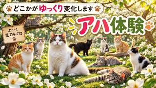 【脳トレ習慣】認知機能アップ💡毎朝の脳活で健康習慣を！
