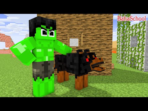 Monster School: Baby Hulk and Poor Dog - Sad Story - Minecraft Animation