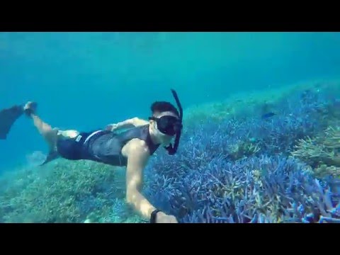 Freediving in Palau - 自由潛水之帛琉篇 (2016 3/19 - 3/23) thumnail