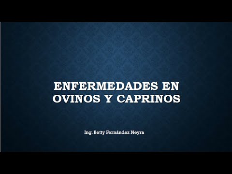 , title : 'Enfermedades en caprinos y ovinos - Sesión 11'