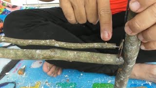 Download lagu cara membuat jebakan burung perkutut dari kayu. mp3