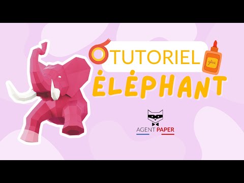 Eléphant - vidéo de présentation