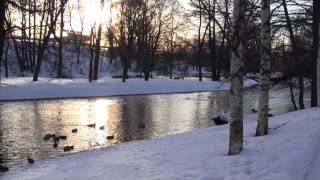 preview picture of video 'Boulognerparken Gävle 2013-02-27 part 1 of 2!'