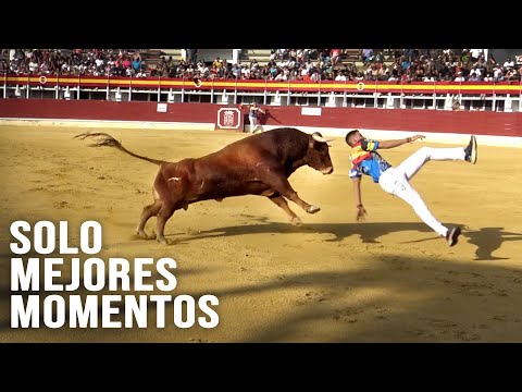 Toros Bravos Solo Mejores Momentos #4