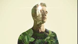 Herbs of Gold Sleep Ease