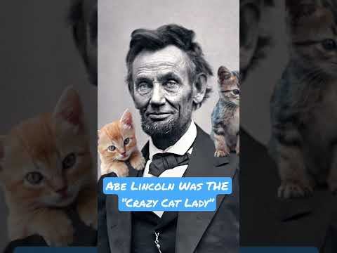 Abe Lincoln Was THE “Crazy Cat Lady”, And Here’s Why...
