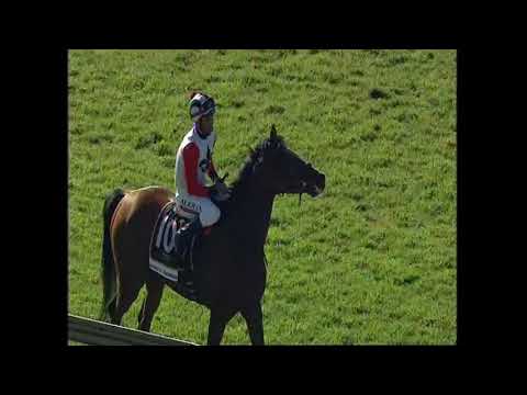 Hero's Honour Turffontein 5 May 2018