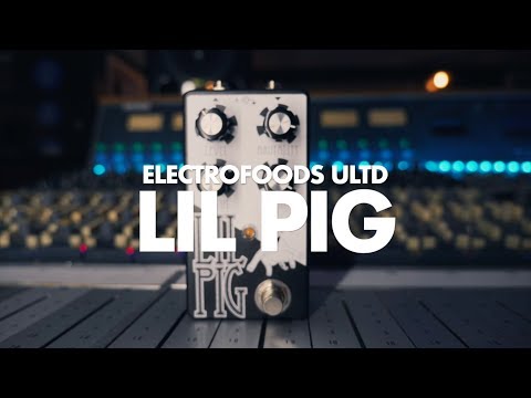 Electrofoods Ultd. Lil Pig || Guitar & Bass Demo || NoiseGenerator