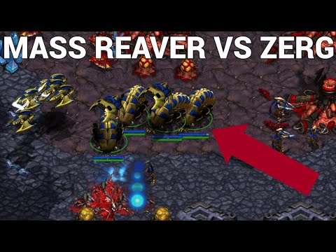 Reaver RUSH vs ZERG!?!?! - Jaedong vs SnOw G2!