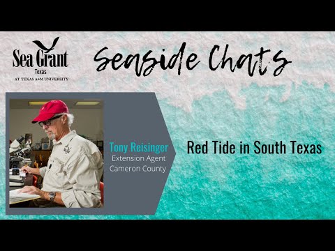 Seaside Chats - Red Tide in South Texas with Tony Reisinger