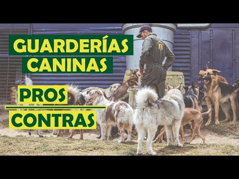 , title : 'GUARDERIAS CANINAS PROS Y CONTRAS'