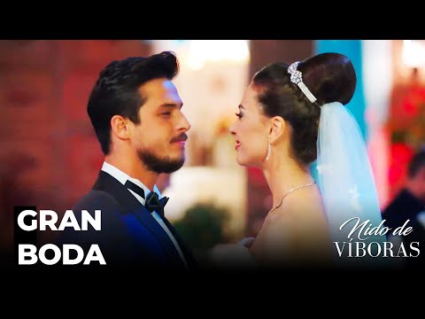 Ejder y Nagme Se Casan - Nido De Víboras