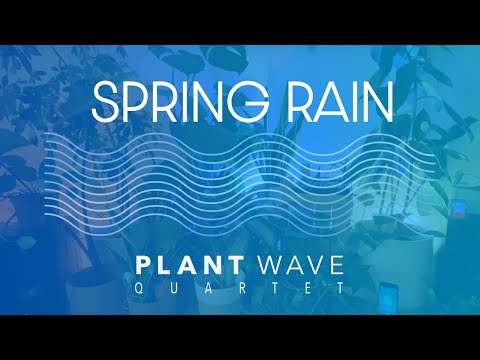 PlantWave Quartet - Spring Rain
