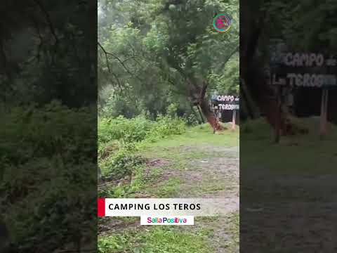 Camping #LosTeros inundada #LaCaldera