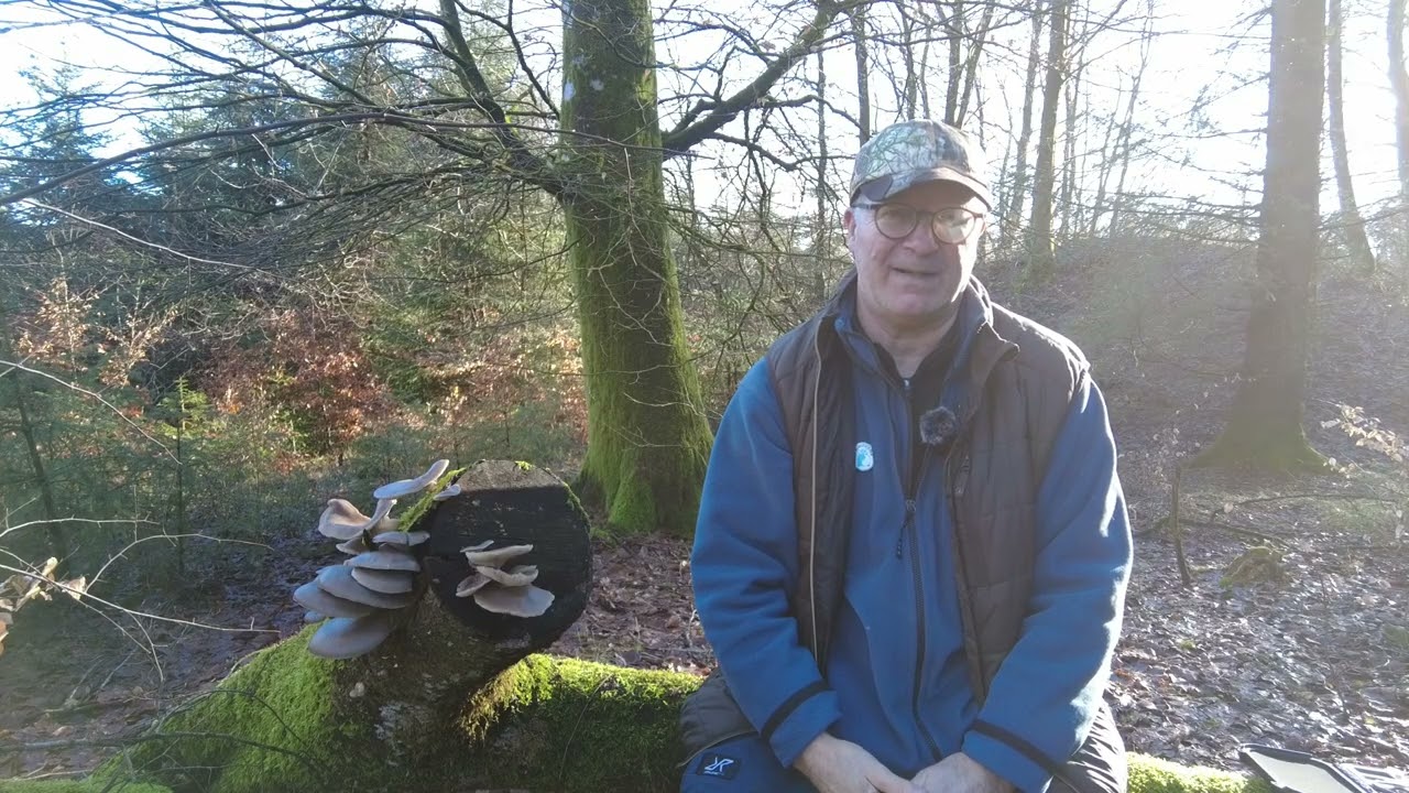 Naturvejleder Søren Risborg Introducerer Sommertrekanten