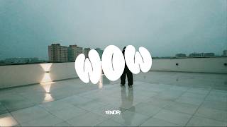 TENDRY - WOW (VISUALIZER)