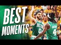 The Boston Celtics Have DOMINATED This Year 64 18 2023 24 Season Highlights