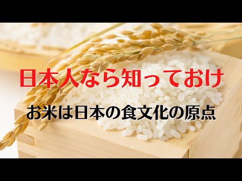 ウメインコについて詳しく解説