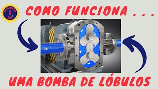 Como Funciona a Bomba de Lóbulos | Bombas de Deslocamento Positivo | Bomba Volumétrica