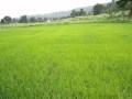 Malai Soodum Vellai