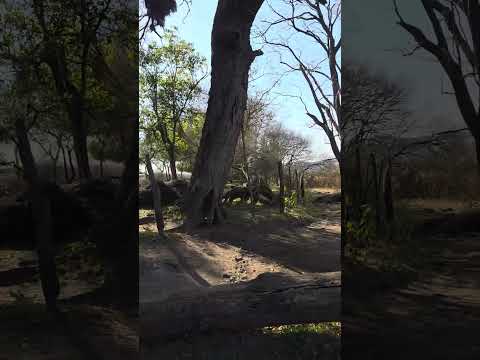 PUESTO NUEVO CASA DE CAMPO #cerrocolorado #travel #visitargentina #sightseeing #campo