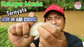 Download lagu UMPAN JITU IKAN NILEM/MELEM DI AIR KERUH mp3 Download lagu UMPAN JITU IKAN NILEM/MELEM DI AIR KERUH mp3