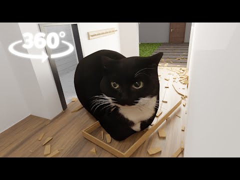 360° Maxwell The Cat in YOUR HOUSE attacks you !
