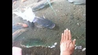 Download lagu Praktek doa pemanggil ikan mp3 Download lagu Praktek doa pemanggil ikan mp3