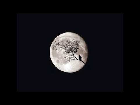 Future Skyline - Silent Moon